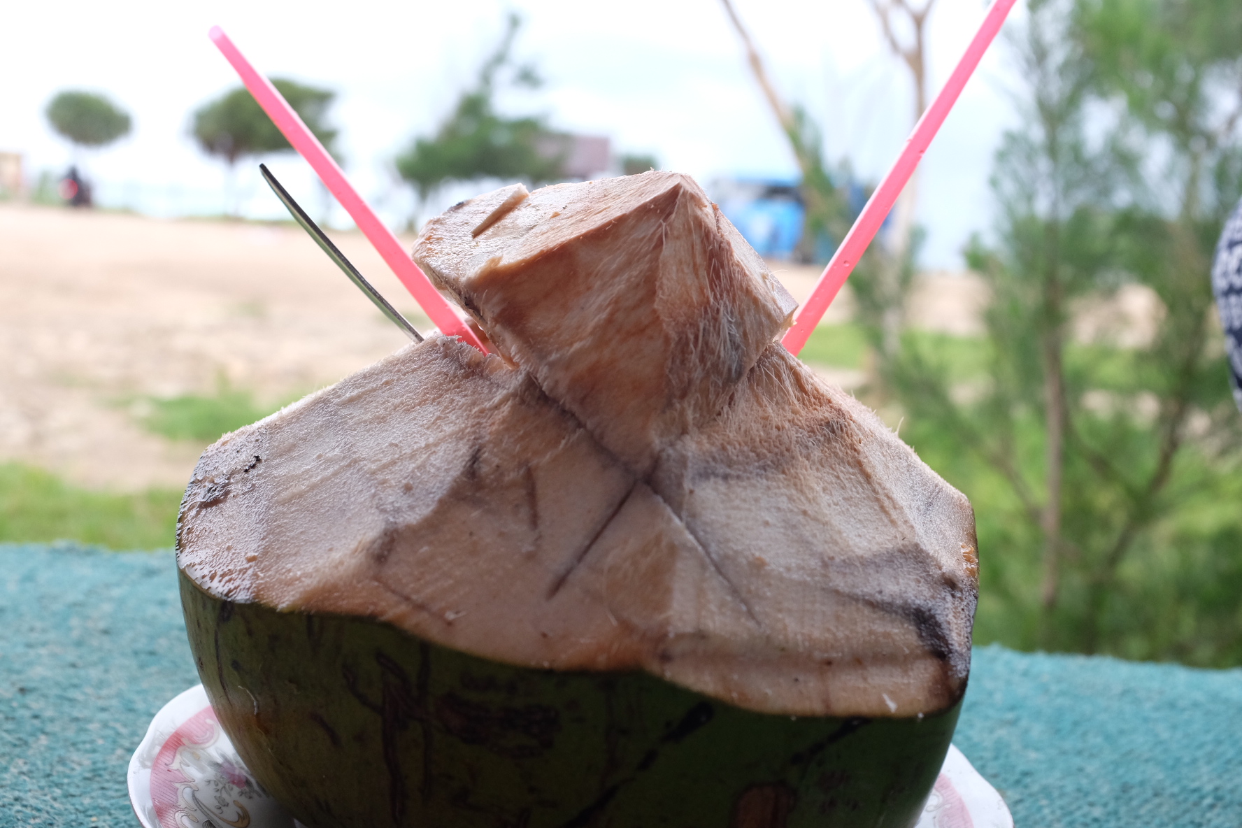 Kokosnuss (noch nicht ganz reif, deshalb grün und mit viel mehr Kokoswasser)