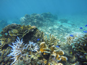 DCIM100GOPROGOPR0446.