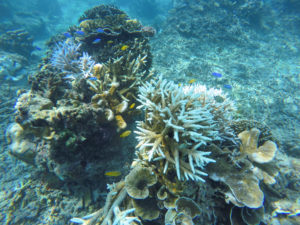 DCIM100GOPROGOPR0455.