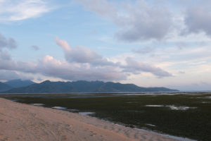 Ebbe