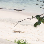 villa_weekend-6912-2