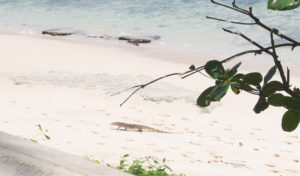 villa_weekend-6912-2