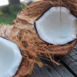 Reife Kokosnuss (wie bei uns üblich)