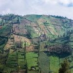 DIe Irgendwas-Felder