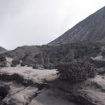 Das ist übrigens kein Schwarz-Weiß-Bild.