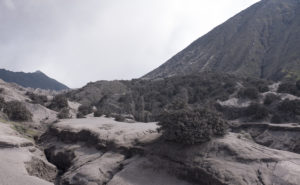 Das ist übrigens kein Schwarz-Weiß-Bild.