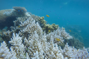 DCIM100GOPROGOPR0635.