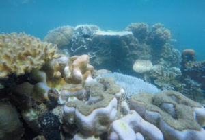 DCIM100GOPROGOPR0637.