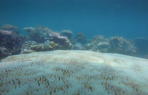 DCIM100GOPROGOPR0655.