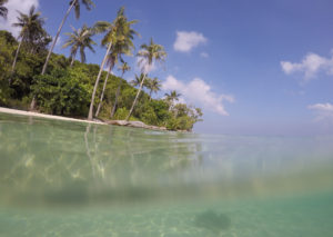 DCIM100GOPROGOPR0709.