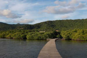 Der Steg zu unserer Unterkunt