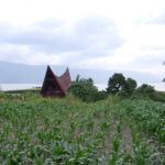 Eines der markanten Häuser der Batak, der ansässigen Volksgruppe.