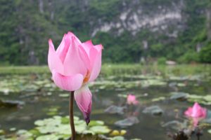 img_0882
