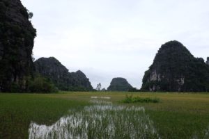 img_0885