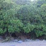 Der geheime Ein- und Ausgang